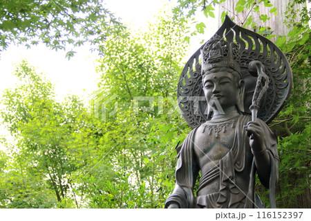 曼殊沙華の咲く山寺散策・38（臨済宗妙心寺派大智寺） 116152397