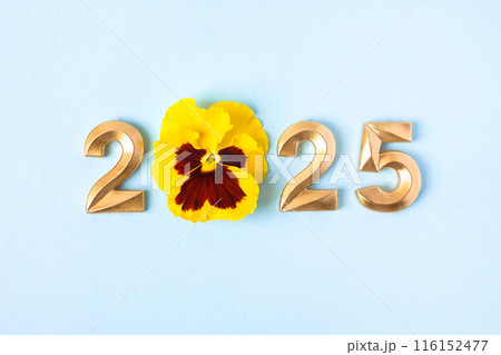 Gold numbers and yellow viola flowers on blue background. 2025 new year idea concept. Simple and clean design Happy New Year 2025 and Merry Christmas. Flat lay Gold numbers and yellow viola flowers on blue background. 2025 new year idea concept. Simple and clean design Happy New Year 2025 and Merry Christmas. Flat lay 116152477