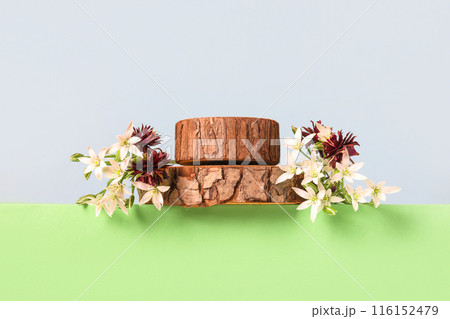 Concept scene stage showcase for new product, banner, promotion sale, cosmetic, presentation. Wood slice podium, white Ornithogalum flowers and burgundy aquilegia flowers on green background. 116152479