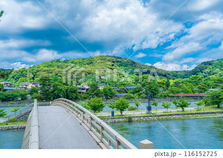 京都府宇治市　宇治公園に架かる橘橋 116152725
