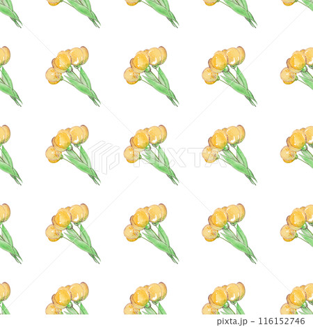 Watercolor drawing of bouquets of yellow tulips. Seamless floral pattern for your design. Spring flowers. Women's Day Watercolor drawing of bouquets of yellow tulips. Seamless floral pattern for your design. Spring flowers. Women's Day 116152746