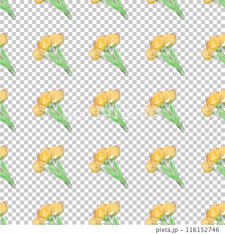 Watercolor drawing of bouquets of yellow tulips. Seamless floral pattern for your design. Spring flowers. Women's Day Watercolor drawing of bouquets of yellow tulips. Seamless floral pattern for your design. Spring flowers. Women's Day 116152746
