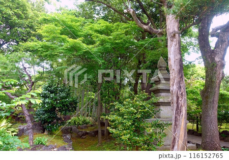 春、町中の公園の風景 春、町中の公園の風景 116152765