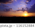 サンセット 116152884