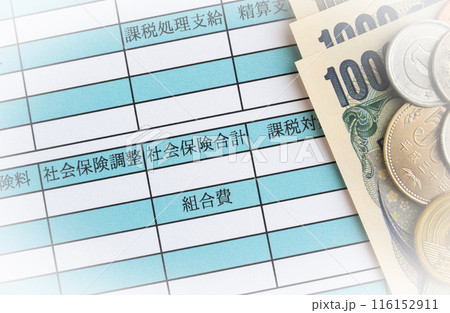 給与明細書　社会保険合計　お給料　月給　賃金 116152911