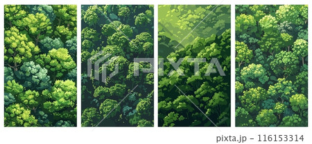 Rain forest top view backgrounds. Green trees posters set. Amazonian evergreen landscapes, aerial perspective of natural wooded scenery. Vector cards set 116153314