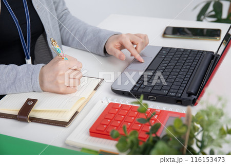 パソコンで仕事をする女性 116153473