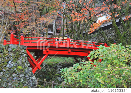 紅葉散策（両界山横蔵寺）・30（岐阜県揖斐郡揖斐川町横蔵地区） 116153524