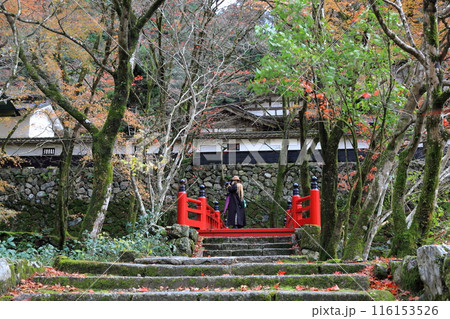 紅葉散策（両界山横蔵寺）・29（岐阜県揖斐郡揖斐川町横蔵地区） 116153526