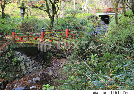 紅葉散策（両界山横蔵寺）・14（岐阜県揖斐郡揖斐川町横蔵地区） 116153563