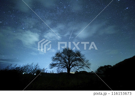 星のヤマナシ 116153673