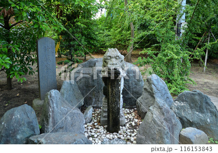 千葉県市原市八幡のパワースポット　飯香岡八幡宮の神龍泉 116153843