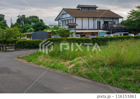 田原ふるさと公園の風景 田原ふるさと公園の風景 116153861