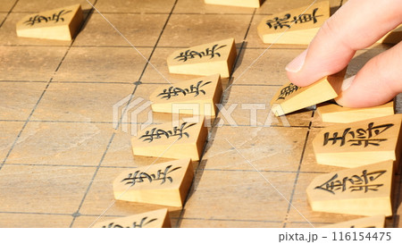 将棋の駒組の指し手 116154475