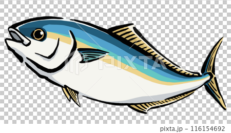 跳ねる鰤の手書きイラスト 跳ねる鰤の手書きイラスト 116154692