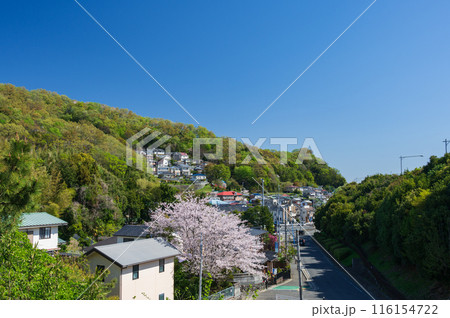 鶴巻の春景色 田舎の春 鶴巻の春景色 田舎の春 116154722