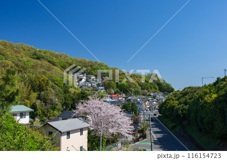 鶴巻の春景色 田舎の春 鶴巻の春景色 田舎の春 116154723