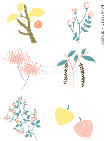 8月・9月の日本の草木セット 植物のイラスト素材 116154774