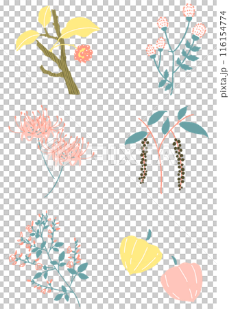 August and September Japanese plants set Illustration material of plants 116154774
