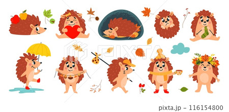 Forest autumn hedgehogs. Funny cartoon hedgehog walking sleeping and drink tea. Warm cozy animal at fall knitting and dry mushrooms, classy vector set 116154800