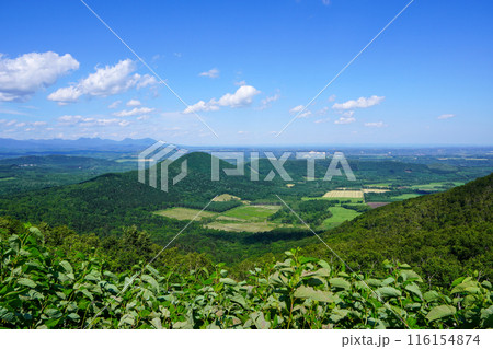 日本新八景・狩勝峠 日本新八景・狩勝峠 116154874