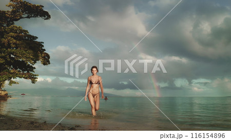 A woman wearing a bikini is walking along the sandy shore of the beach. A woman wearing a bikini is walking along the sandy shore of the beach. 116154896