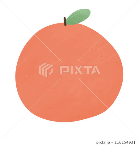 Orange Cartoon illustration Orange Drawing Cartoon Orange Logo Orange Icon Orange Watercolor Style 116154931