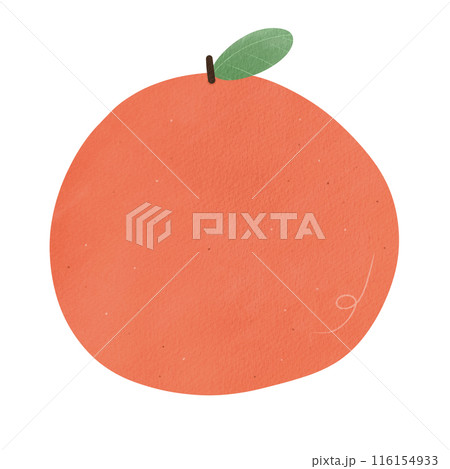 Orange Cartoon illustration Orange Drawing Cartoon Orange Logo Orange Icon Orange Watercolor Style Orange Cartoon illustration Orange Drawing Cartoon Orange Logo Orange Icon Orange Watercolor Style 116154933
