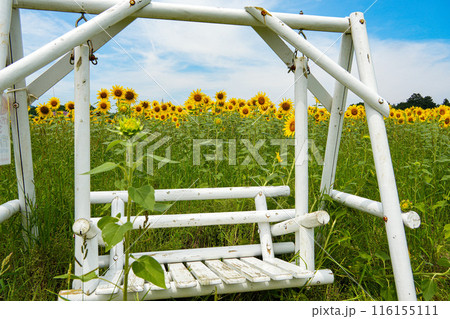 ひまわり　玉城町 116155111