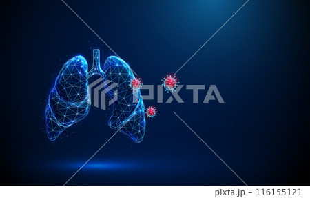 Abstract blue human lungs wih red viruses outside Respiratory and viral lung diseases, healthcare protection medical concept Low poly futuristic technology style Geometric wireframe background Vector. 116155121