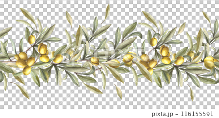 Olive tree branch with green leaves and berries, stone fruits. Watercolor seamless border, pattern. Hand painted illustration. Food floral clipart for oil label, summer print on isolated background. 116155591