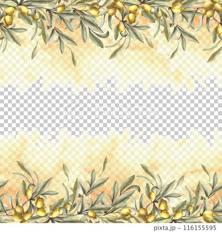 Olive branch with fruit berries and green leaves. Botanical floral seamless banner, frame on watercolor yellow splashes, stains background. Hand drawn isolated illustration for oil, cosmetic label. Olive branch with fruit berries and green leaves. Botanical floral seamless banner, frame on watercolor yellow splashes, stains background. Hand drawn isolated illustration for oil, cosmetic label. 116155595