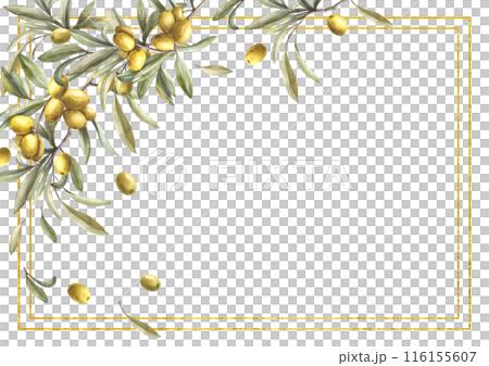 Olive tree branch gold framed Watercolor twig... - Stock Illustration ...