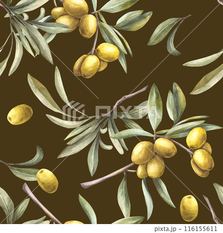 Olive tree branch with green leaves and berries. Watercolor seamless pattern. Hand painted illustration. Botanical print for oil food label, floral fabric, summer wallpaper Isolated dark background. 116155611