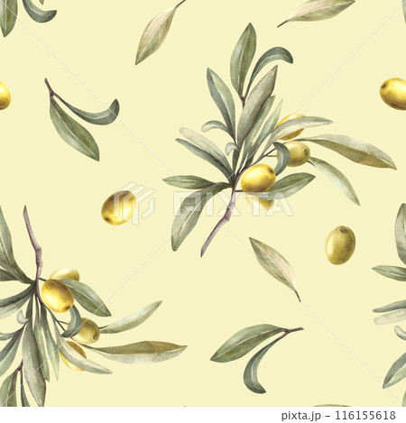 Olive tree branch with green leaves and fruit berries watercolor seamless pattern. Hand drawn illustration Botanical print for oil food label packing, fabric, wallpaper on isolated coloured background 116155618
