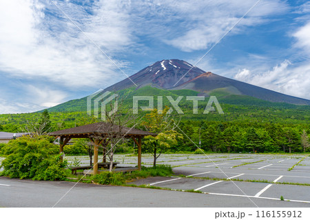 夏の水ケ塚公園　新緑　富士山 116155912