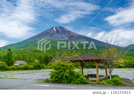 夏の水ケ塚公園　新緑　富士山 116155913