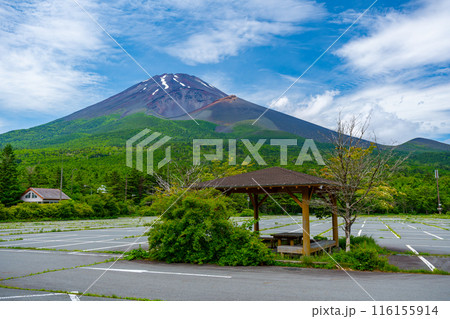 夏の水ケ塚公園　新緑　富士山 116155914