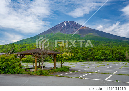夏の水ケ塚公園　新緑　富士山 116155916