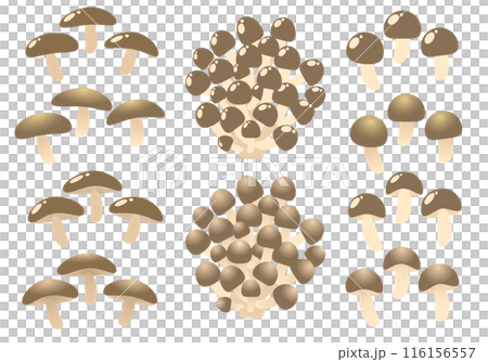 いろいろなキノコのセット 116156557