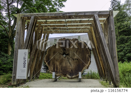 Meise Botanical Garden in Belgium. Woodlab, wood laboratory Meise Botanical Garden in Belgium. Woodlab, wood laboratory 116156774