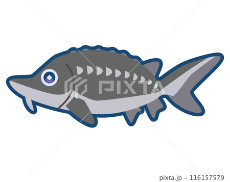 かわいいベルーガ（オオチョウザメ）のイラスト 116157579