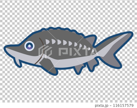 かわいいベルーガ（オオチョウザメ）のイラスト 116157579