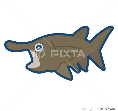 かわいいヘラチョウザメのイラスト かわいいヘラチョウザメのイラスト 116157580