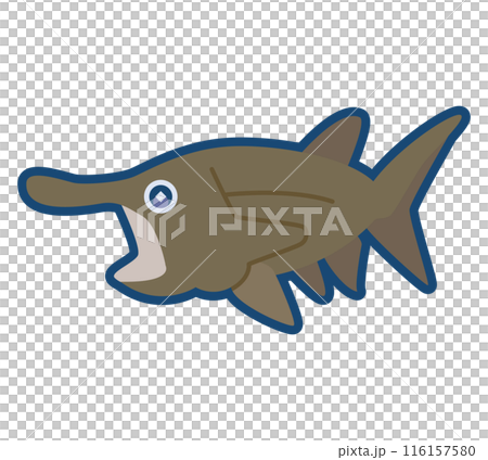 かわいいヘラチョウザメのイラスト かわいいヘラチョウザメのイラスト 116157580