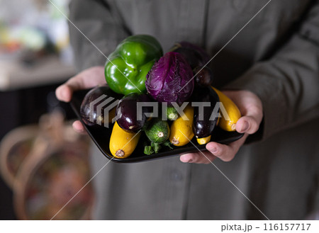 Hands holding a large plate with various fresh farm vegetables. Diet. Balance. The concept of healthy organic food 116157717