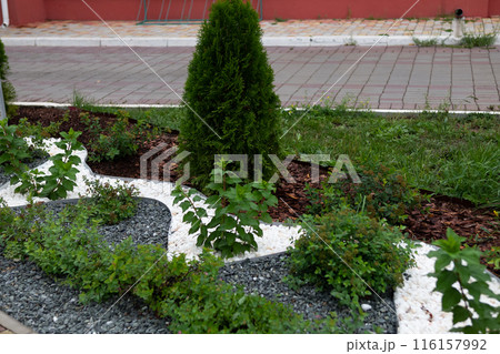 Landscape design in green garden, panoramic view of nice landscaped yard of residential house. Paving path, plants and vintage lantern in home backyard, beautiful landscaping in summer. 116157992