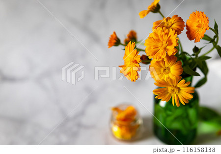 orange marigold in white vase on background 116158138