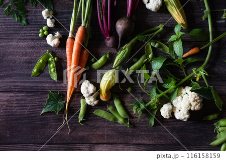 Flat Stacking series assorted green tinted Vegetables, Fresh Organic raw products 116158159