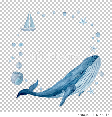 Watercolor high quality hand-drawn blue whale, starfish sea round frame isolated on white. High quality monochromatic art for notebooks, posters, stickers, tote bags, cards, eco, room decor and design 116158217